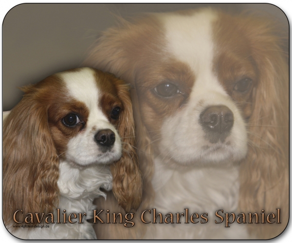 Mousepad Cavalier King Charles Spaniel